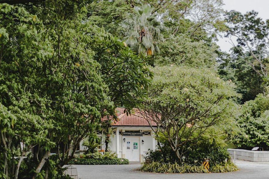 Detached bungalow with garden